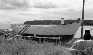 Backyard Boat / 1981