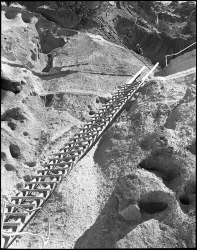 Alcove House Ladder