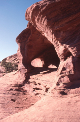 Sandstone Forms
