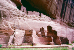White House Ruins