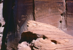 Horseriders Petroglyph
