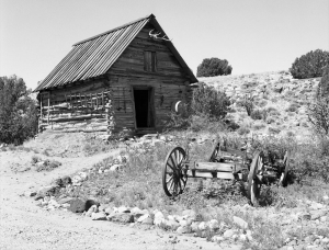 Wagon and Storage