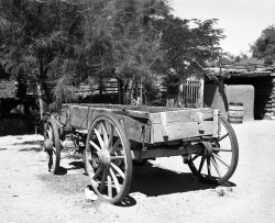 Wagon