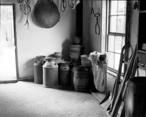 The Store