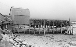 Boat Wharf / 1981