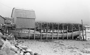 Boat Wharf / 1981