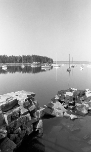 Boats in Harbor