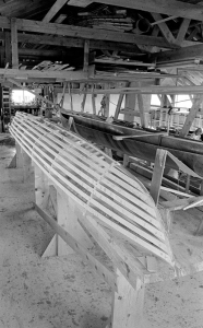 Scull Frame / 1981