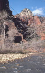 Virgin River Canyon at Zion