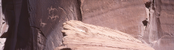 long-image-riders